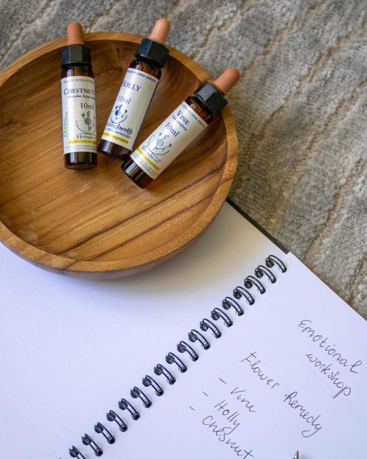 tula-EMOTIONAL-BODY-MAP-WORKSHOP